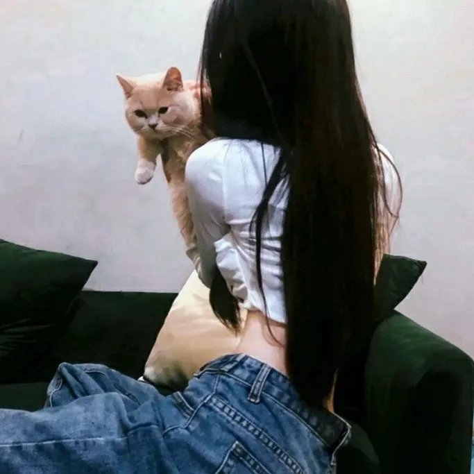失落的王子