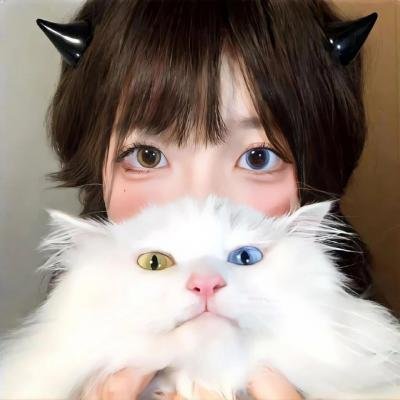 宝莲历险记